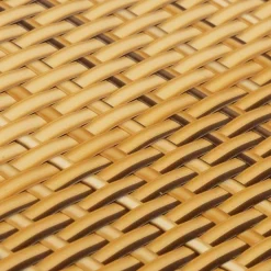 vidaXL altanafskærmninger 10 stk. 255x19 cm polyrattan lysebrun