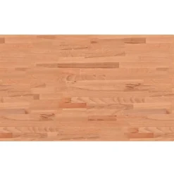 vidaXL arbejdsbænk 100x60x81,5 cm massivt bøgetræ rektangulær