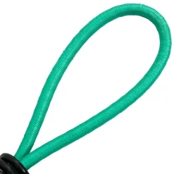 vidaXL elastiksnore med kroge 20 stk. 15 cm