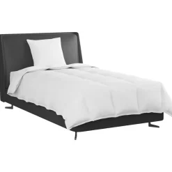 vidaXL 2-i-1 Dyne med pude 2 pcs Hvid Dunfjer