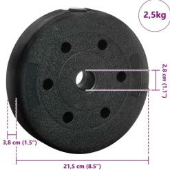 vidaXL 2-i-1 Håndvægt Sæt 30kg Sort og Blå Cement og jernsand