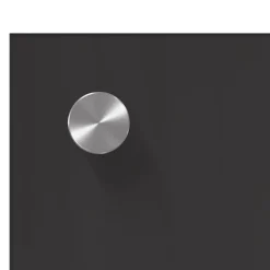 vidaXL Køkkenbacksplash 2 pcs Mørkegrå 80 x 40 cm hærdet glas