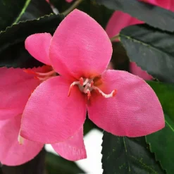 vidaXL kunstig rhododendron med krukke 155 cm grøn og pink