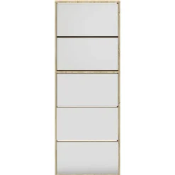 vidaXL skoskab 5 hylder med spejl 63x17x169,5 cm egetræsfarvet