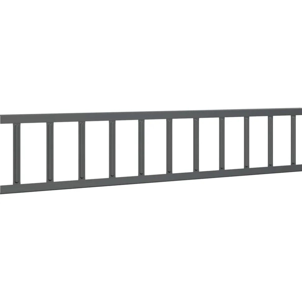 vidaXL Tag snefang Antracit 100 x 2,5 x 20 cm Stål