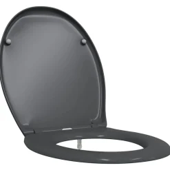 vidaXL Toilet sæde Antracit 47 x 37 x 4 cm Duroplast