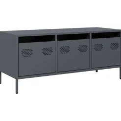 vidaXL tv-bord 101,5x39x43,5 cm koldvalset stål antracitgrå