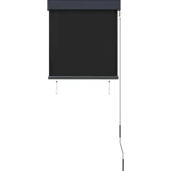 vidaXL udendørs rullegardin 60x250 cm antracitgrå
