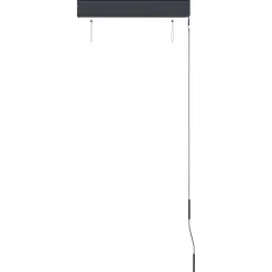 vidaXL udendørs rullegardin 60x250 cm antracitgrå