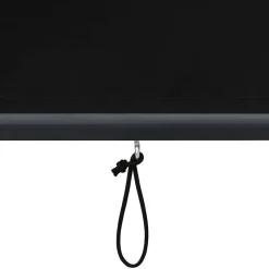 vidaXL udendørs rullegardin 60x250 cm antracitgrå
