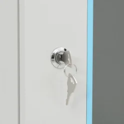 vidaXL væghængt netværksskab 53x40x21 cm 4U IP20 19