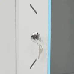 vidaXL væghængt netværksskab 53x40x60 cm 6U IP20 19