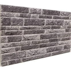 vidaXL Vægpaneler 10 pcs Antracit 100 x 50 cm EPS Skum
