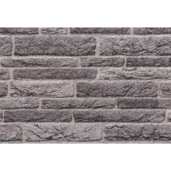 vidaXL Vægpaneler 10 pcs Antracit 100 x 50 cm EPS Skum