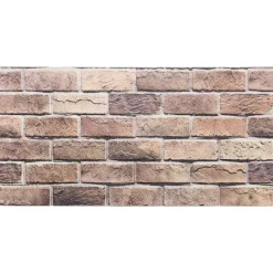 vidaXL Vægpaneler 10 pcs Brun og grå 100 x 50 cm EPS Skum