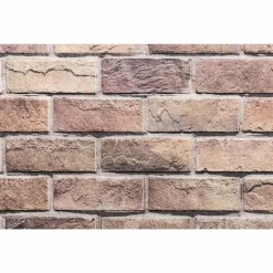 vidaXL Vægpaneler 10 pcs Brun og grå 100 x 50 cm EPS Skum