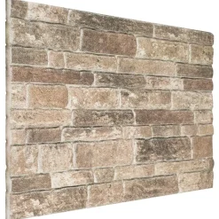 vidaXL Vægpaneler 10 pcs Flerfarvet 100 x 50 cm EPS Skum