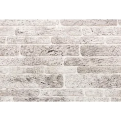 vidaXL Vægpaneler 10 pcs Lys Grå og Hvid 100 x 50 cm EPS Skum