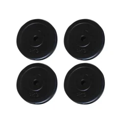 vidaXL vægtplader 4 stk. 20 kg
