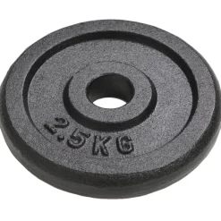 vidaXL vægtplader 8 stk. 8x2,5 kg støbejern