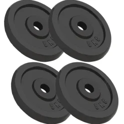 vidaXL vægtplader 4 stk. 4x5 kg støbejern