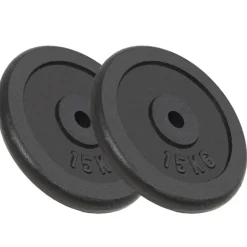 vidaXL vægtplader 2 stk. 2x15 kg støbejern