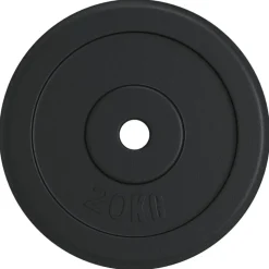 vidaXL vægtskive 40 kg støbejern