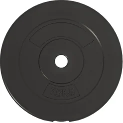 vidaXL vægtskiver 6 stk. 30 kg cement