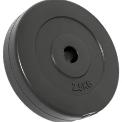 vidaXL vægtskiver 6 stk. 30 kg cement