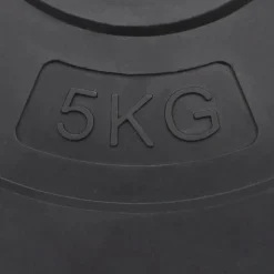 vidaXL vægtskiver 6 stk. 30 kg cement