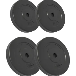vidaXL vægtskiver 4 stk. 30 kg cement