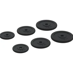 vidaXL vægtskiver 6 stk. 30 kg støbejern