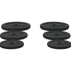 vidaXL vægtskiver 6 stk. 30 kg støbejern