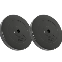 vidaXL vægtskiver 2 stk. 30 kg cement