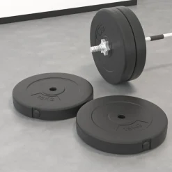 vidaXL vægtskiver 2 stk. 30 kg cement