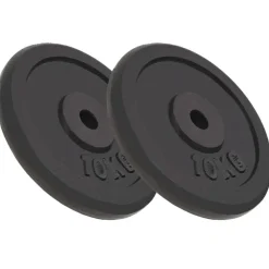 vidaXL vægtskiver 2 stk. 2x10 kg støbejern