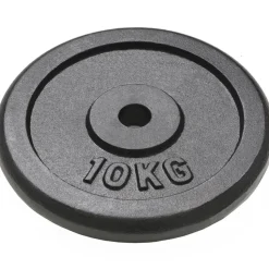vidaXL vægtskiver 2 stk. 2x10 kg støbejern