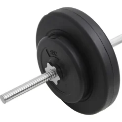 vidaXL vægtstangssæt med skiver 30 kg