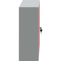 vidaXL Værktøjsskab Rød og Grå 50 x 20 x 55 cm Ingeniørtræ og stål